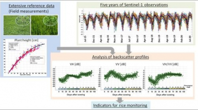 SEMINAR: USE OF RADAR REMOTE SENSING FOR LAND MONITORING IN VIETNAM: APPLICATIONS IN AGRICULTURE (RICE), FORESTS, AND FLOODS