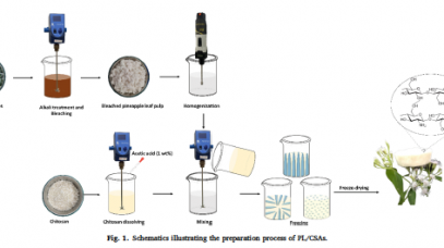 Eco-friendly synthesis of durable aerogel composites from chitosan and pineapple leaf-based cellulose for Cr(VI) removal
