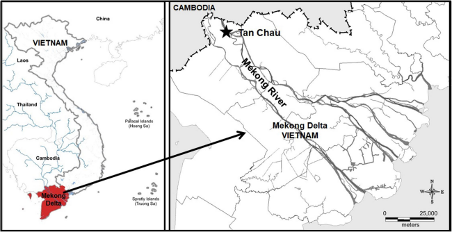 Fig. 1 Sampling site for river water and Ceriodaphnia cornuta collection for study at the Tan Chau Town (10° 48′ 10 N, 105° 14′ 56 E) in Mekong River in Vietnam  